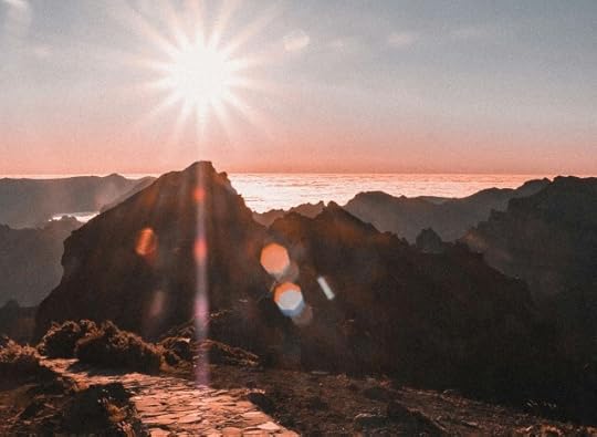 A path leading towards a sunny place. What can you do about that?