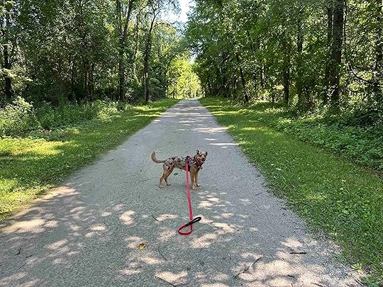 Sunny on the Pumpkinvine Trail
