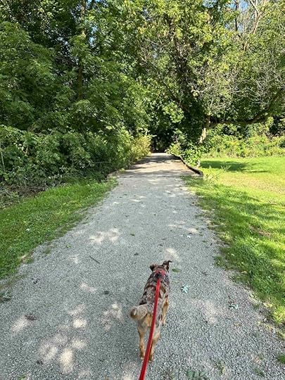 Abshire Park trail