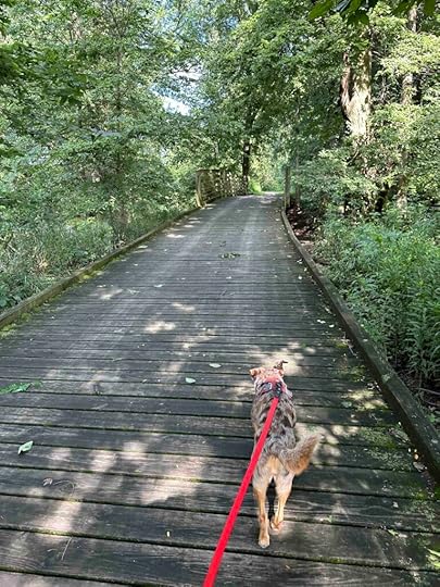 bridge over Rock Run Creek
