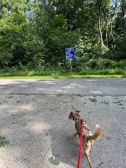 start of the Pumpkinvine Trail