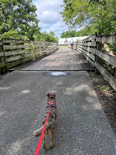 Pumpkinvine Trail toward Goshen