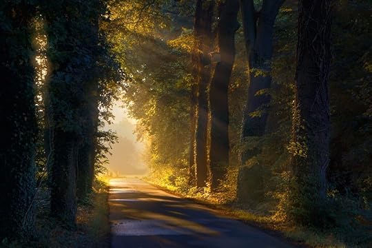 christian story - path through woods