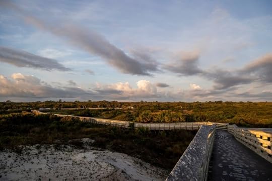 The sun rises over Anastasia State Park in St. Augustine on March 8, 2024. (Patrick Connolly/Orlando Sentinel)