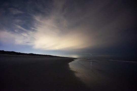 Clouds give way to a starry night sky at Anastasia State Park in St. Augustine on March 7, 2024. (Patrick Connolly/Orlando Sentinel)