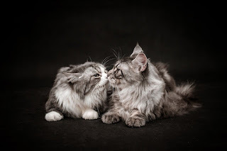 It was love the first time I saw you.