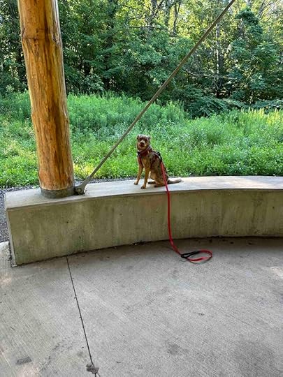 Sunny at Batt's pavilion