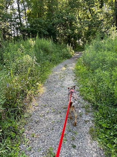 trail from Batt's Pavilion into the woods