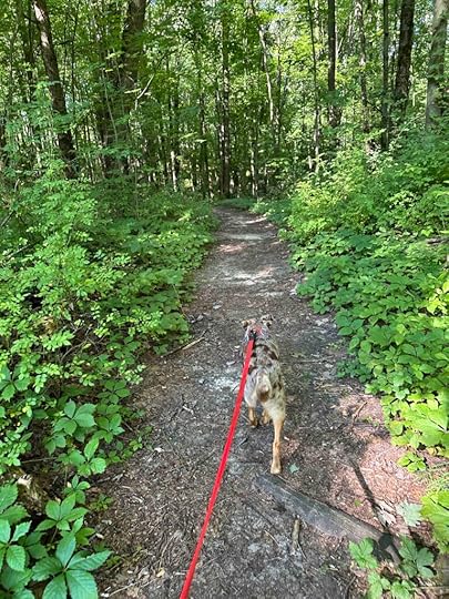 Gathje Hill Trail at Lillian Anderson Arboretum.