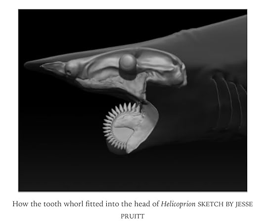 The Secret History of Sharks: The Rise of the Ocean's Most Fearsome