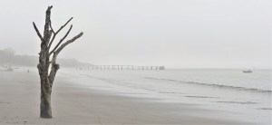 fog on ocean and sand