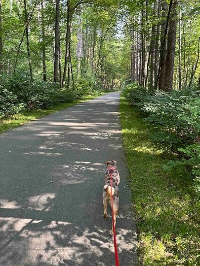 bike trail at Oak Openings Preserve