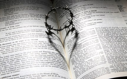 bible crown thorns