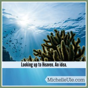 Looking at the surface of water from underneath