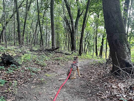 Plumb Lake County Park