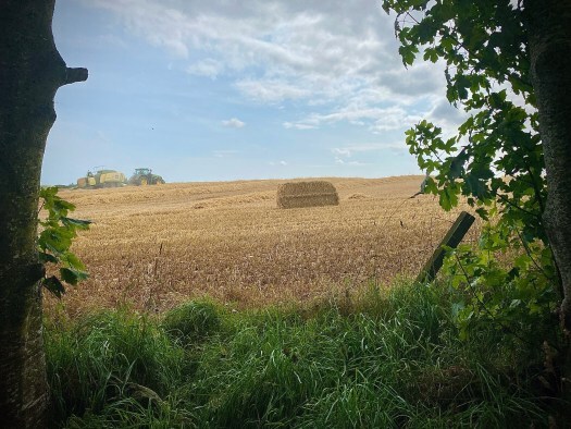 Tractor making straw bales