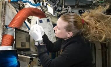 Kate Rubins Was The First Person To Sequence Dna In Space. Nasa