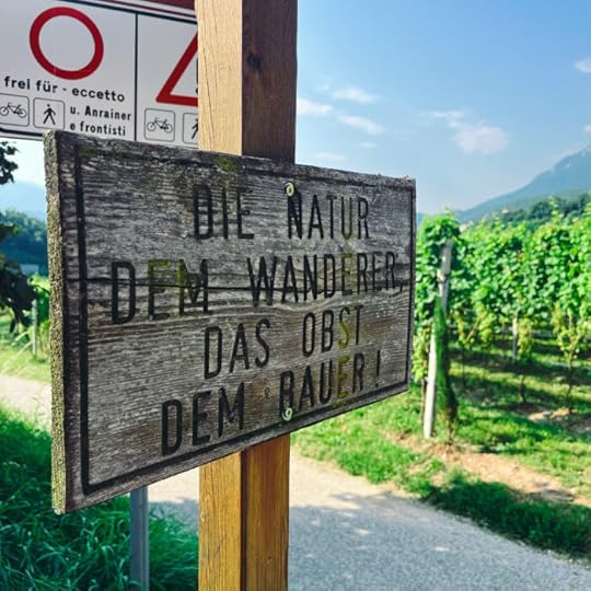 Ein Holzschild zwischen Weinbergen, darauf steht: 