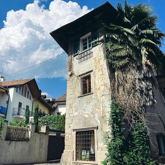 Ein schmaler Altbau in Kaltern, nicht in bestem Zustand aber dekorativ, an die Hauswand gelehnt eine hohe Palme
