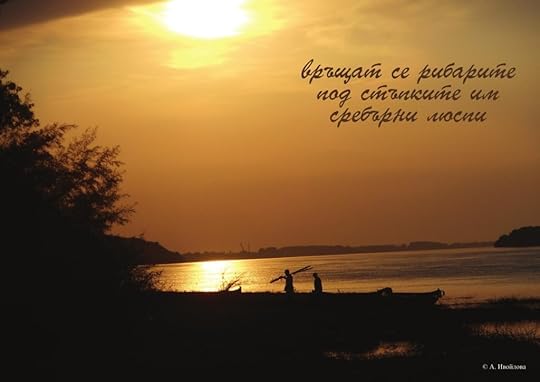 Александра Ивойлова - фотохайга