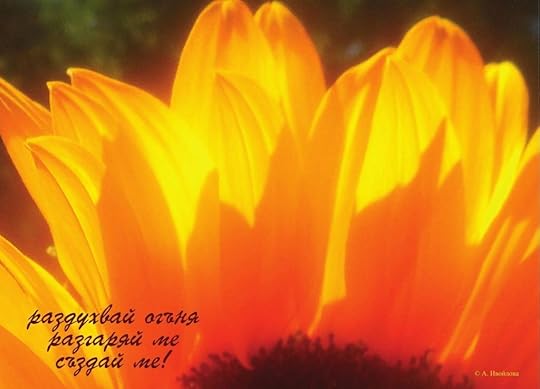 Александра Ивойлова - фотохайга