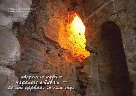 Александра Ивойлова - фотохайга