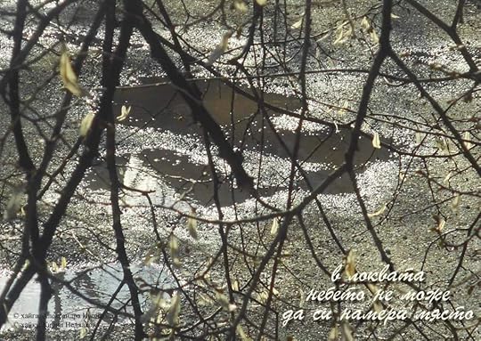 Александра Ивойлова - фотохайга