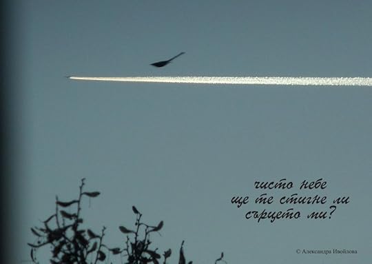 Александра Ивойлова - фотохайга