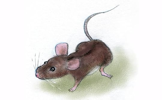 mouseytongue.jpg (800×494)
