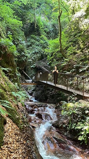 Die Herzdame auf einem metallenen Steg über den Bach in der Rastenbachklamm, unter ihr sprudelndes, stürzendes Wasser