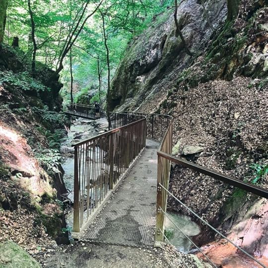 Der durch Geländer gesicherte Weg durch die Rastenbachklamm