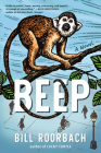 Beep: A Novel By Bill Roorbach Cover Image
