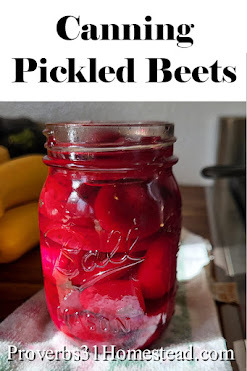 Canning Pickled Beets