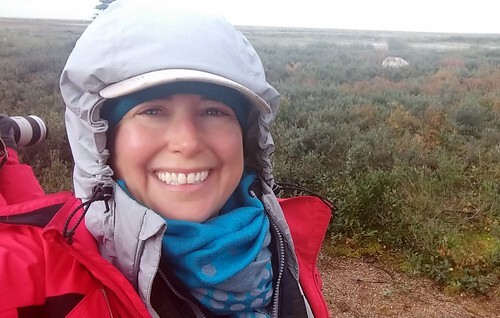 Lisa Niver with polar bears in Canada