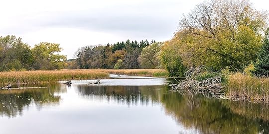 Credit River, Ontario. Photo: Mustang Joe, Flickr.
