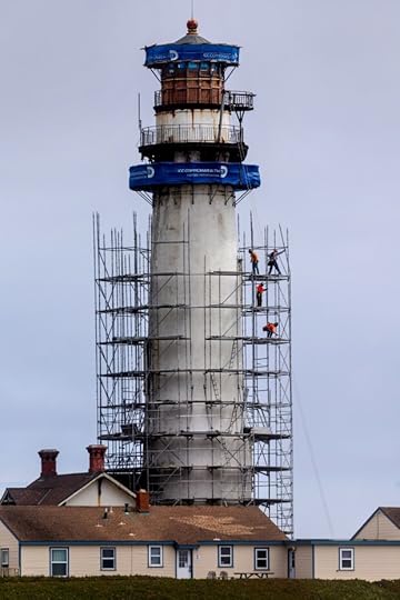 Scaffolding rises up around Pigeon Point Lighthouse, Monday, June 3, 2024, part of a $16 million renovation project of the iconic 19th-century structure on the rugged San Mateo coastline. (Karl Mondon/Bay Area News Group)