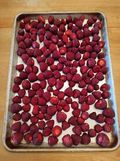 pan of strawberries flash frozen (IQF Berries)