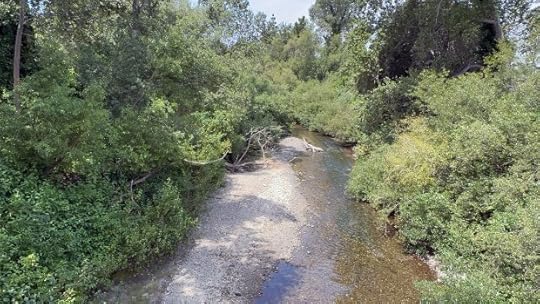 The Rancho Cañada Floodplain Restoration Project will entail about 3,200 linear feet of riprap to be removed to restore natural geomorphic processes such as scour, deposition, and meander migration, of the river. More than 650,000 cubic yards of sediment will be excavated, which will lower the existing disconnected floodplains so that annual inundation can recur. The Carmel River on Friday, July 12, 2024. (James Herrera/Monterey Herald)
