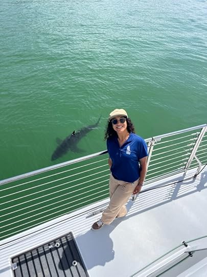 A worker with O'Neill Yacht Charters smiles as a juvenile white shark swims along the organization's 65-foot catamaran boat. The sailing group has a