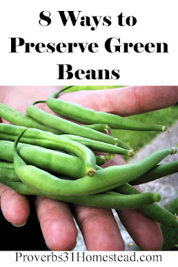 8 Ways to Preserve Green Beans