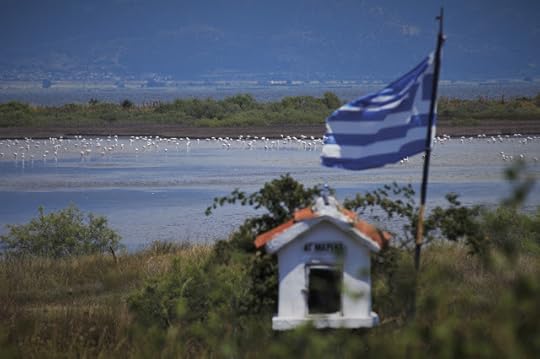 Flamingos in Delta Nestos Natural Park, Greece