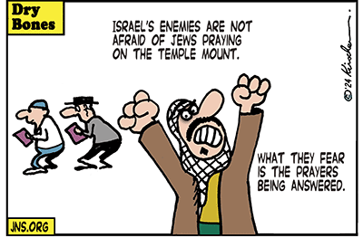 Dry Bones cartoon, Jerusalem, Temple Mount, Ben Gvir, 2024, Jews, Arabs, Israel,