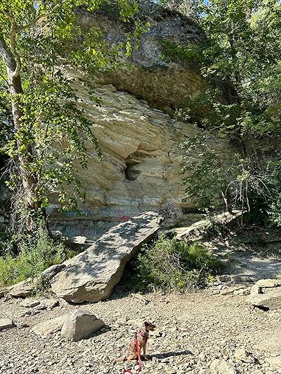 Sunny at the hanging rock national natural landmark