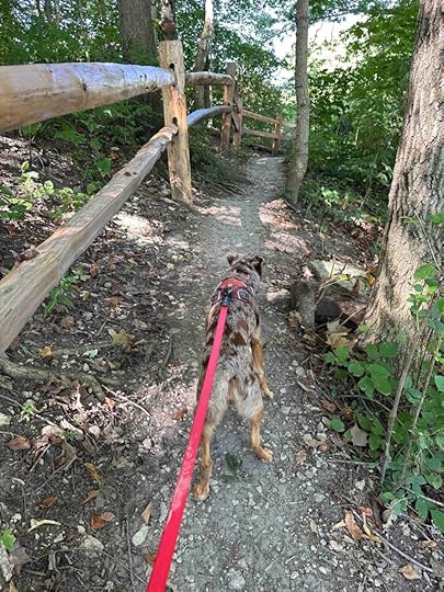 on the trail back to the car