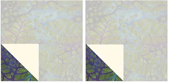 August 2024 NZP Block of the Month