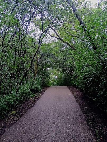 trail in MN
