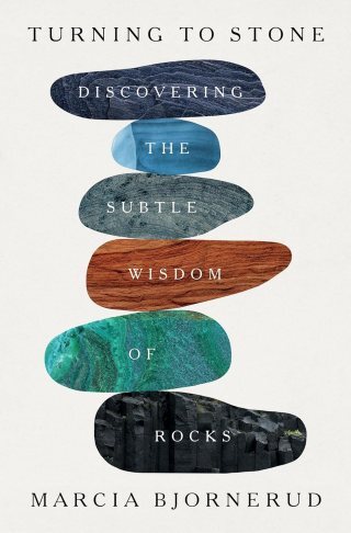 Turning to Stone: A Geologist’s Love Letter to the Wisdom of Rocks
