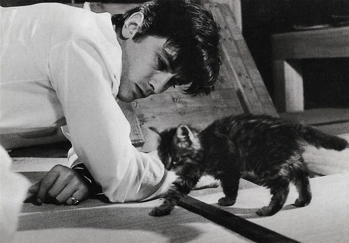 Alain Delon (1935-2024)