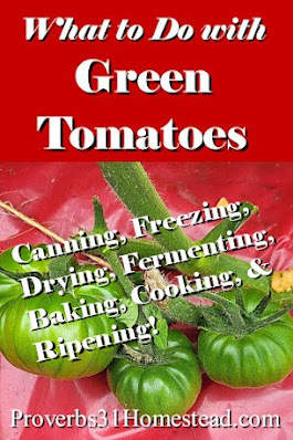 How to Ripen, Can, Freeze, Ferment, Dehydrate Green Tomatoes