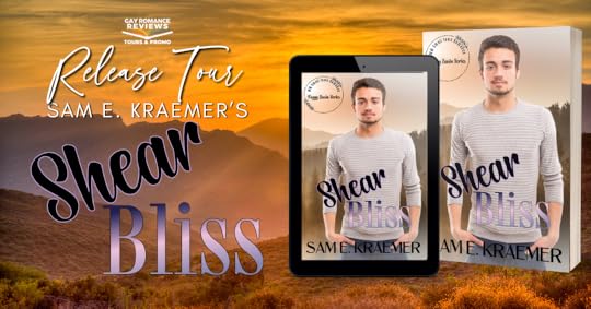 Shear Bliss RT Banner